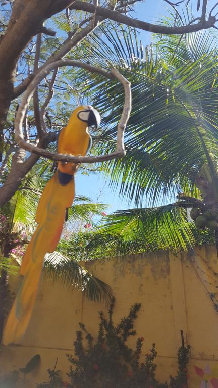 Pousada Agua Marinha Canoa Quebrada Kültér fotó