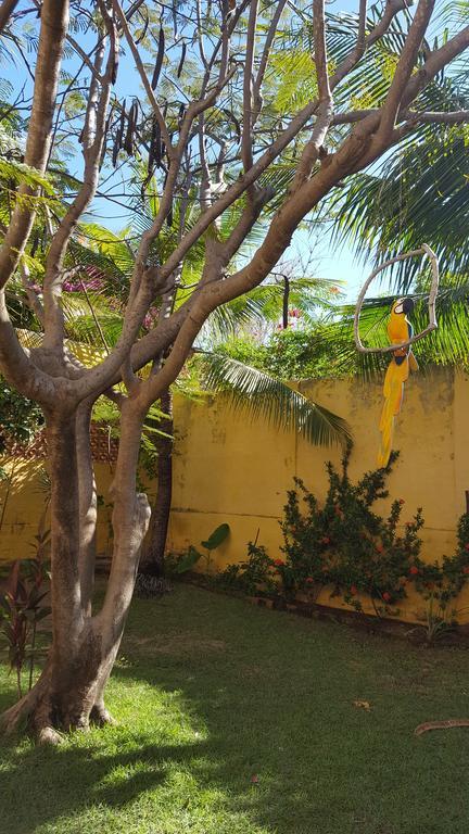 Pousada Agua Marinha Canoa Quebrada Kültér fotó