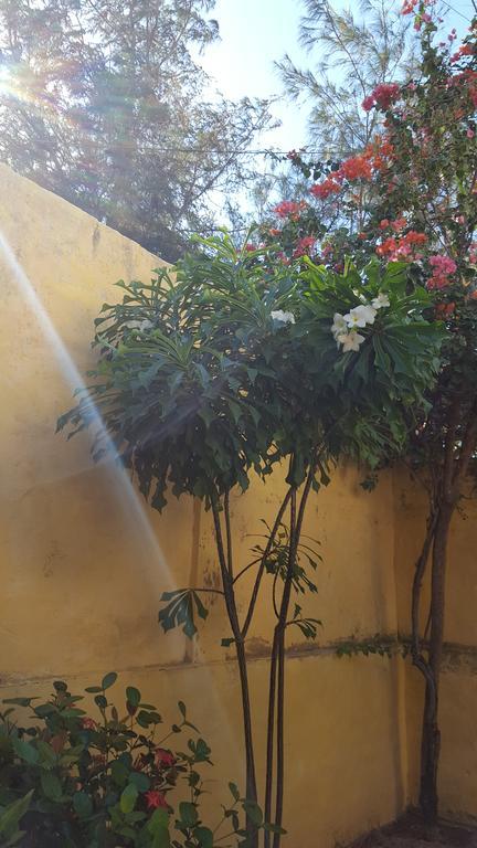 Pousada Agua Marinha Canoa Quebrada Kültér fotó