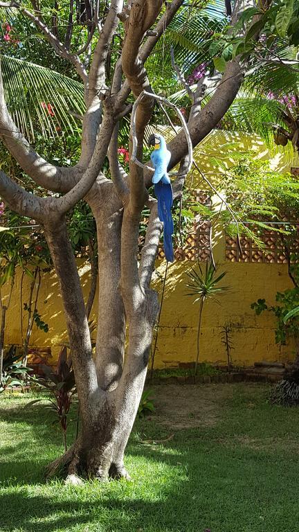 Pousada Agua Marinha Canoa Quebrada Kültér fotó